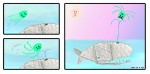 A Whale Of A Time